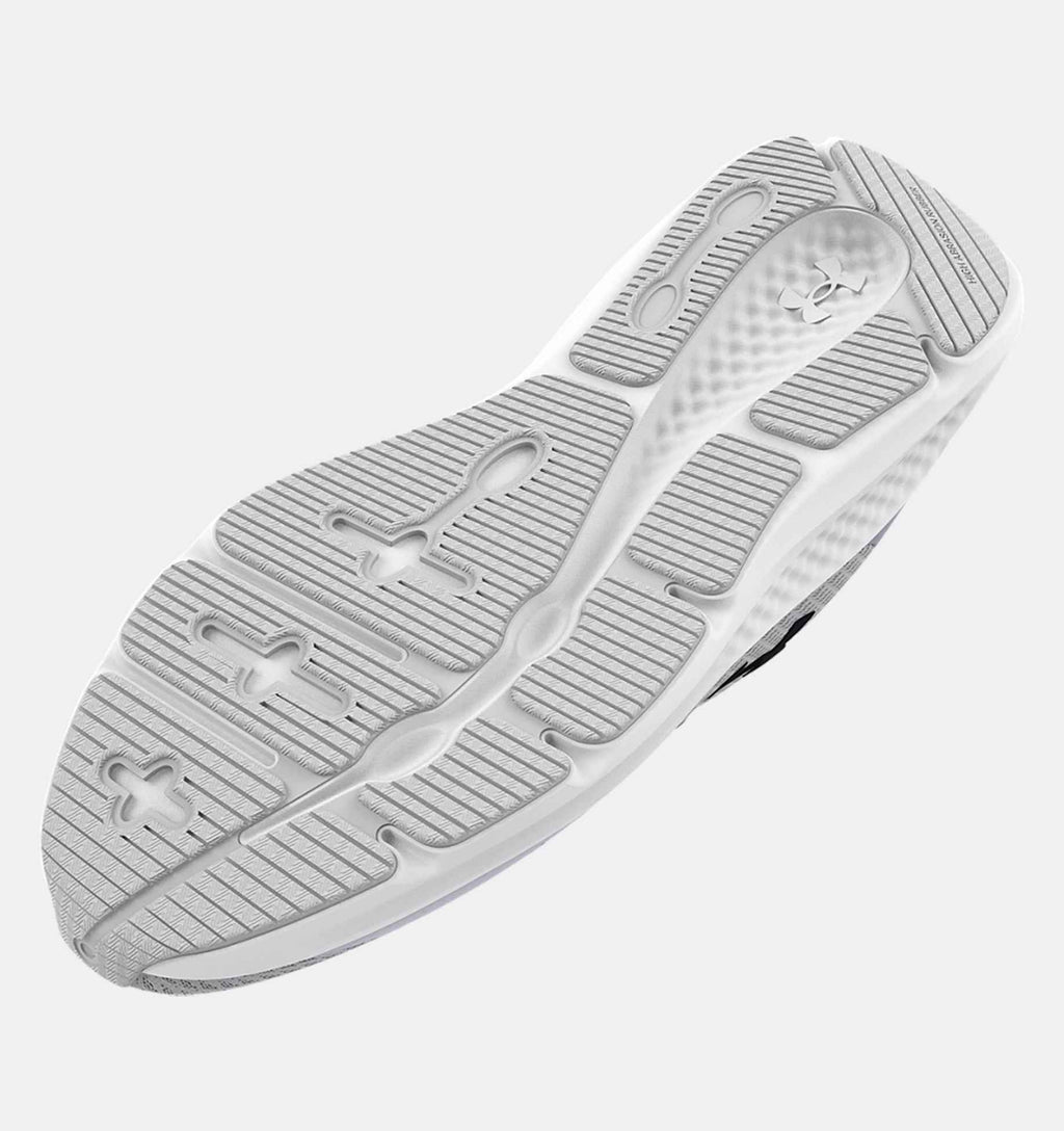 3024889-101_SOLE