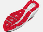 3025945-002_SOLE