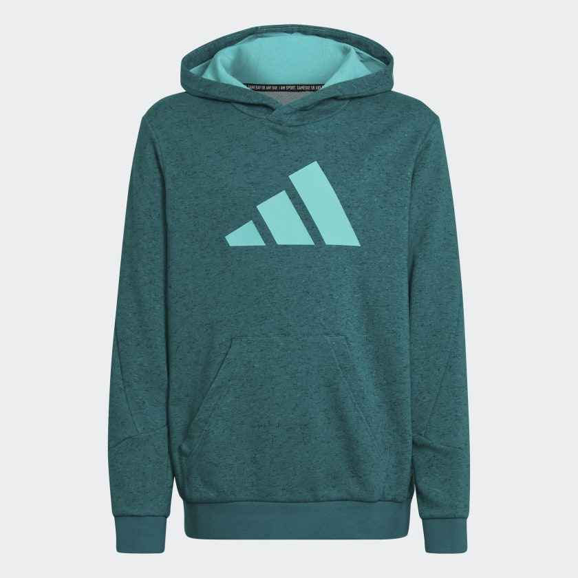 Future_Icons_3-Stripes_Hoodie_Turquoise_HE4669_01_laydown