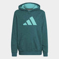 Future_Icons_3-Stripes_Hoodie_Turquoise_HE4669_01_laydown