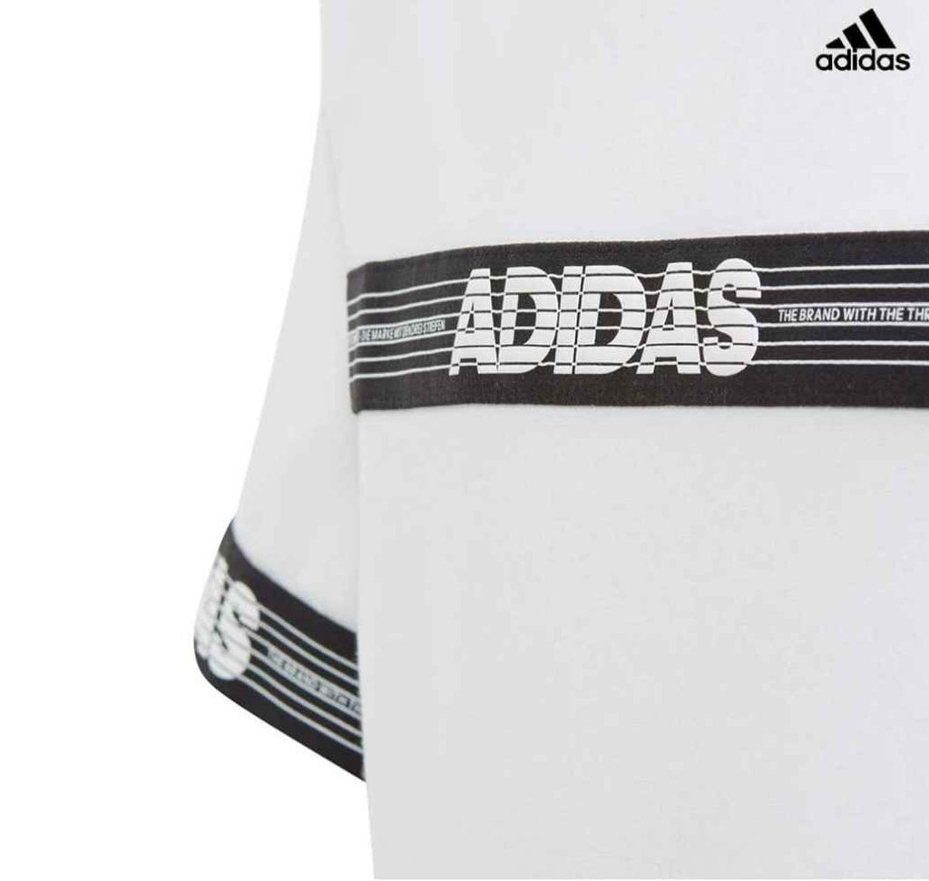 Screenshot_20191211_161157 (1)