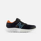 pa520ry8_nb_02_i